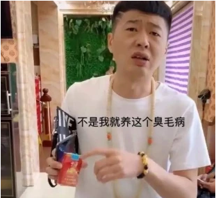 抖音上的街溜子“李会长”经典台词