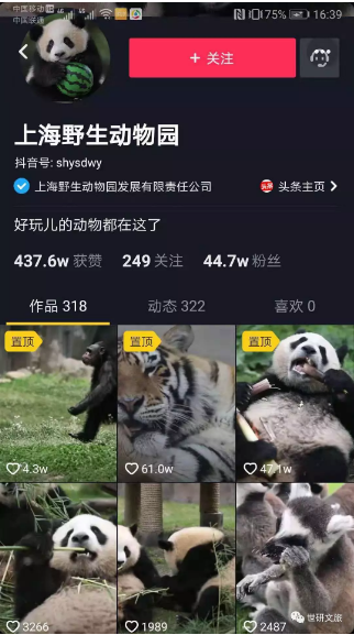 旅游景区抖音运营：要做一站式游玩攻略和资源整合