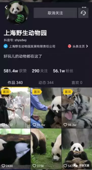 旅游景区抖音运营：要做一站式游玩攻略和资源整合