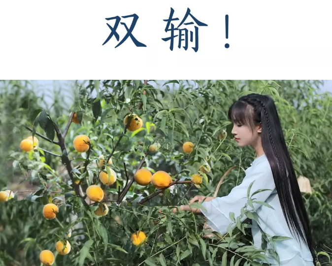 李子柒们的警示：创业拍档为何对簿公堂?