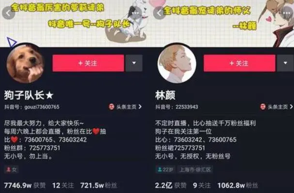 2021抖音十大网红排行榜 祝晓晗上榜，第一视频点赞量10.8亿