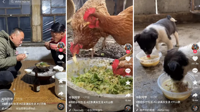 抖音“张同学”一周涨粉270万，这个其貌不扬的农村小伙为什么受到千万人的关注?