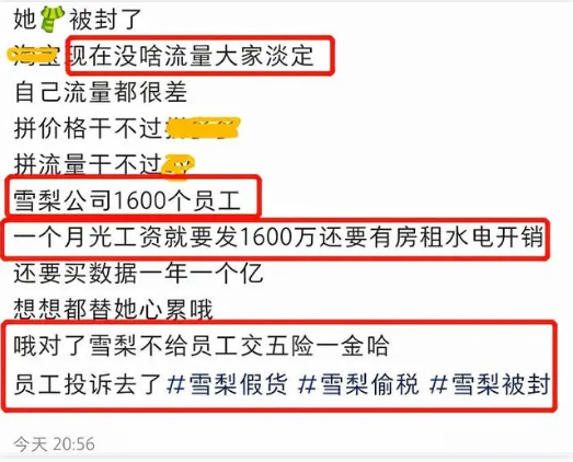 偷税漏税之后，雪梨和林珊珊微博被封号！她们还能直播带货吗？
