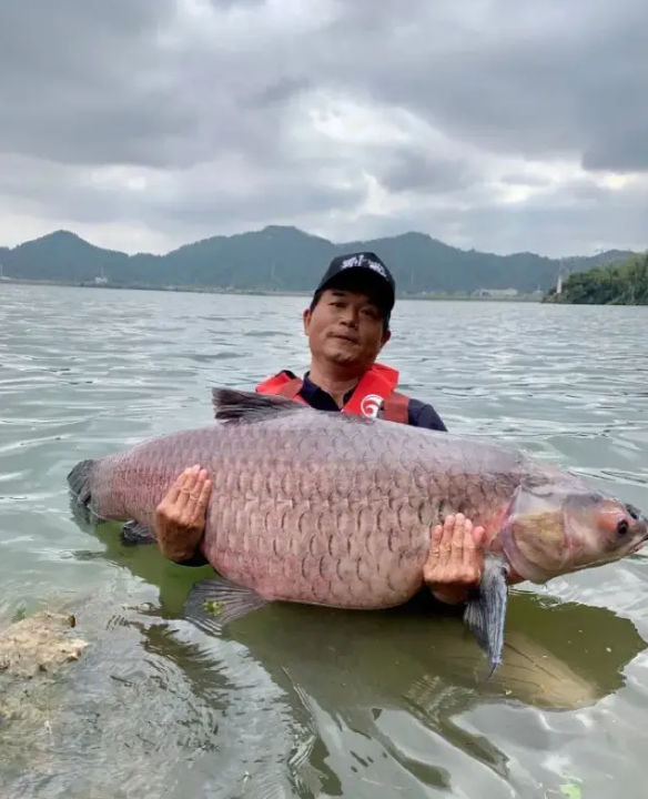 抖音网红“天元邓刚”单月涨粉千万，钓鱼竟成抖音最受欢迎休闲运动?