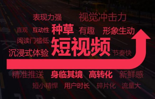 在抖音，我们能提供什么服务？