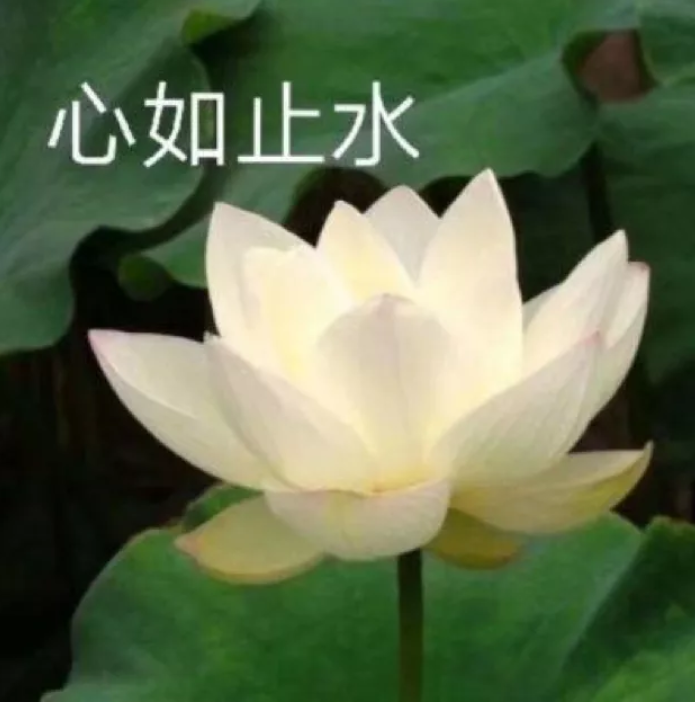 快手上市造富千万，长短视频战火再起，内容营销人何去何从?