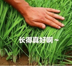 1643458485894771.png 2021年信息流创意迷惑行为大赏包括手游、综合电商、教育、金融、社交婚恋等重点行业