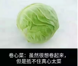 1643458505748118.png 2021年信息流创意迷惑行为大赏包括手游、综合电商、教育、金融、社交婚恋等重点行业