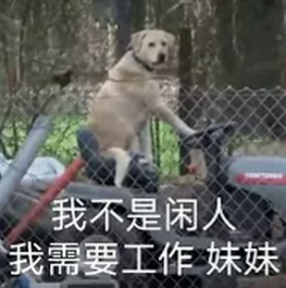 1643458518129484.png 2021年信息流创意迷惑行为大赏包括手游、综合电商、教育、金融、社交婚恋等重点行业