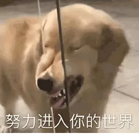 1643458543963068.png 2021年信息流创意迷惑行为大赏包括手游、综合电商、教育、金融、社交婚恋等重点行业