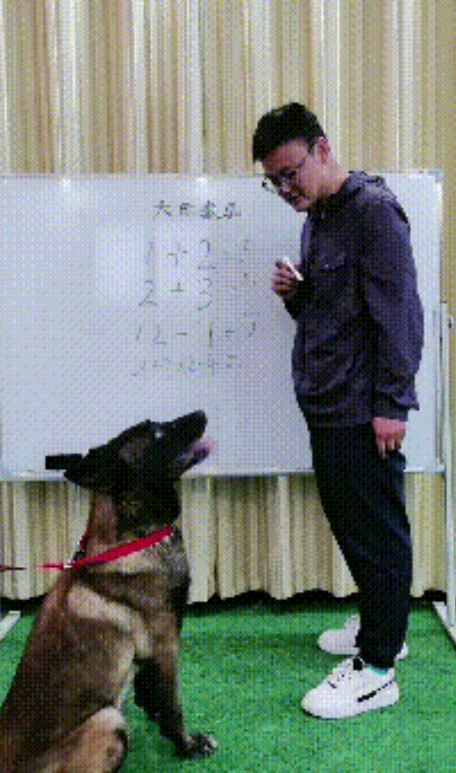 1643458708608318.png 2021年信息流创意迷惑行为大赏