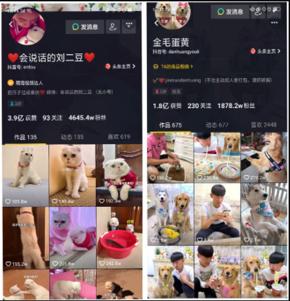 抖音短视频拍摄技巧：15秒的抖音视频这样拍，想不火都难!