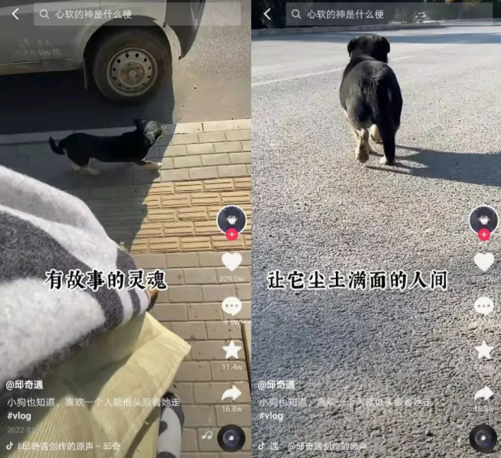 抖音内容运营：靠神仙文案3个月涨粉500万，黑马是怎样练成的?