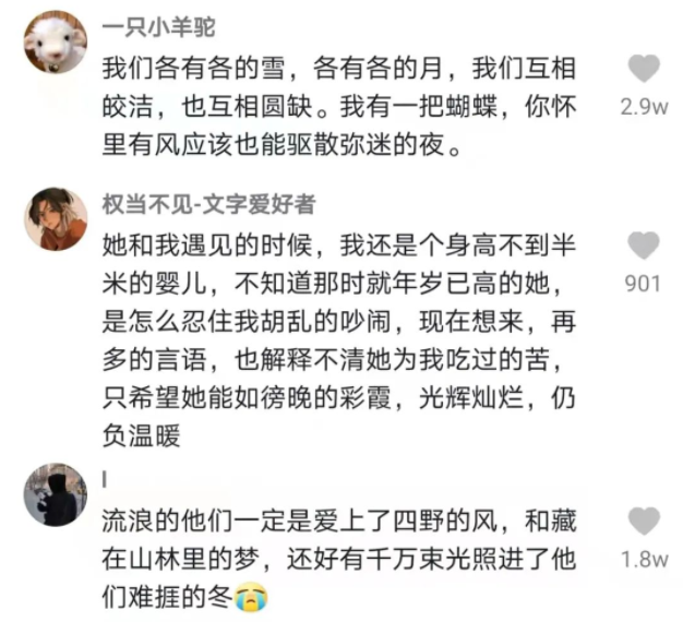 抖音内容运营：靠神仙文案3个月涨粉500万，黑马是怎样练成的?